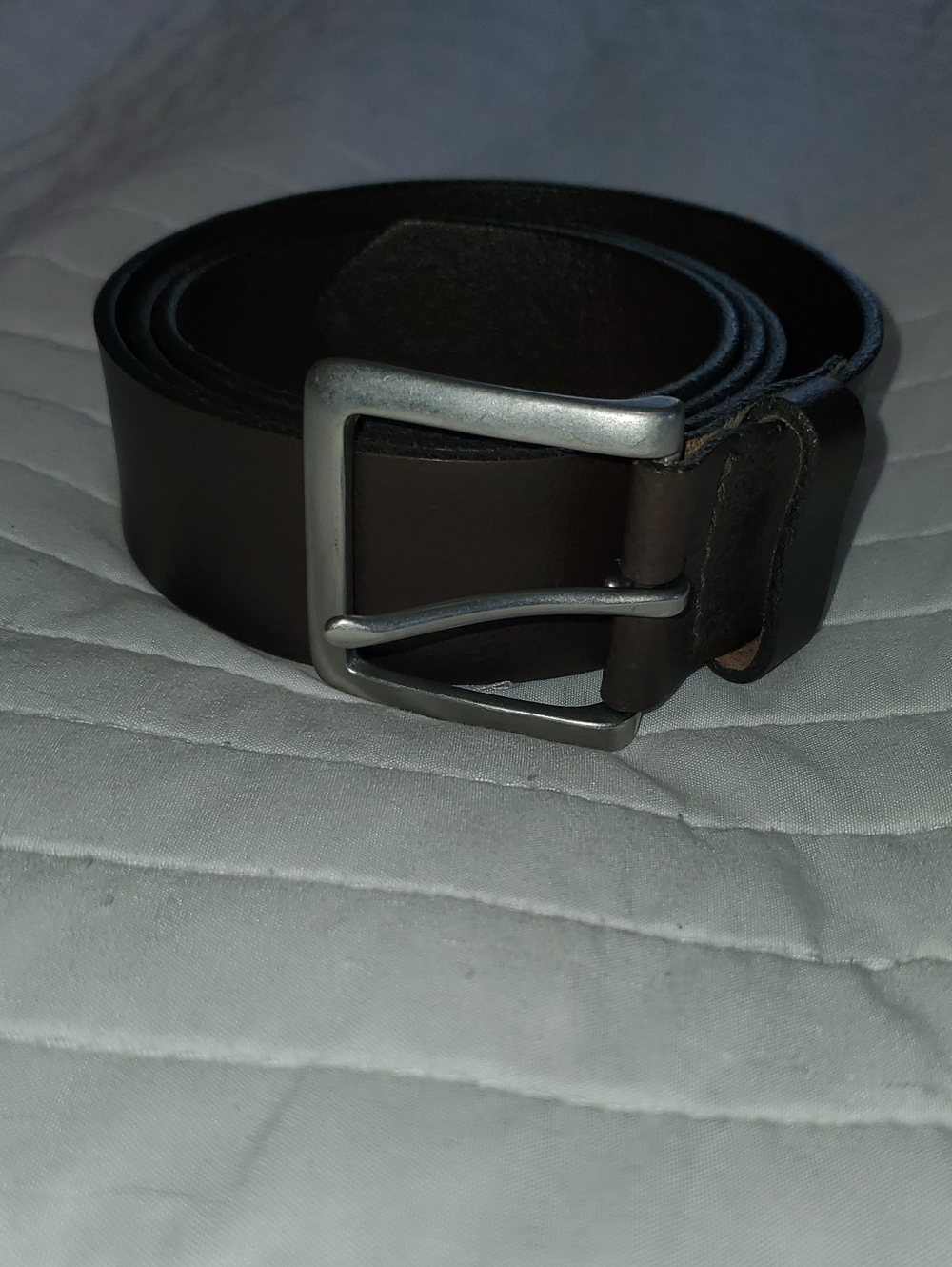 GAP Dark Brown Leather Belt with Silver-Tone Buckle